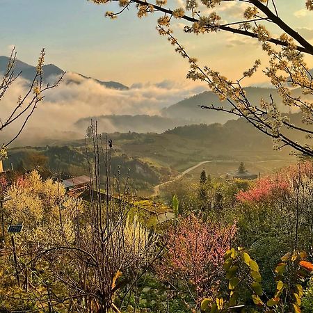 Ta Phin Cottage Sapa Dış mekan fotoğraf