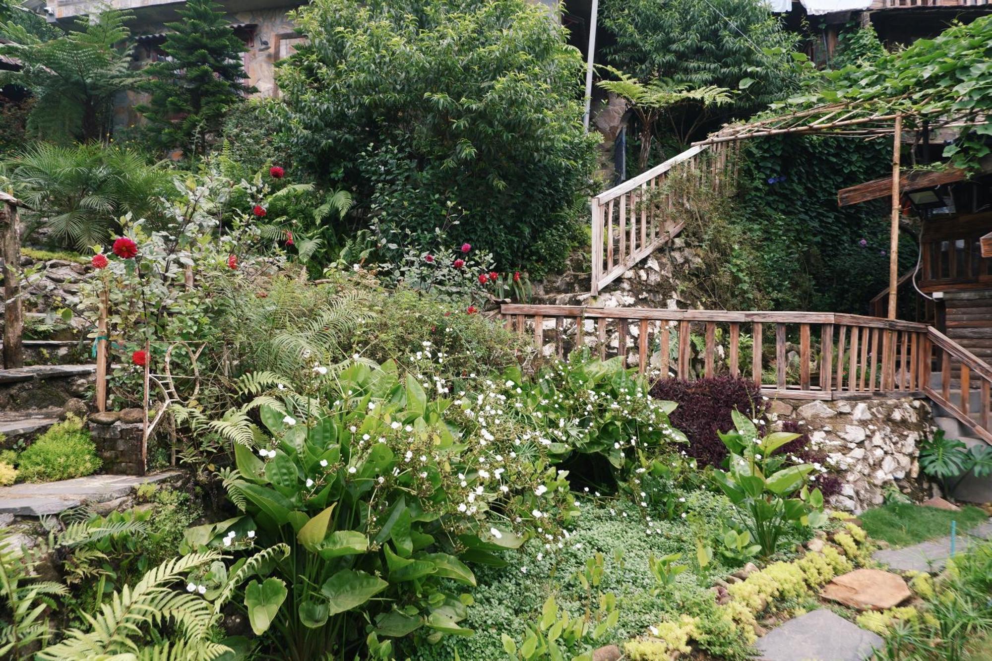 Ta Phin Cottage Sapa Dış mekan fotoğraf