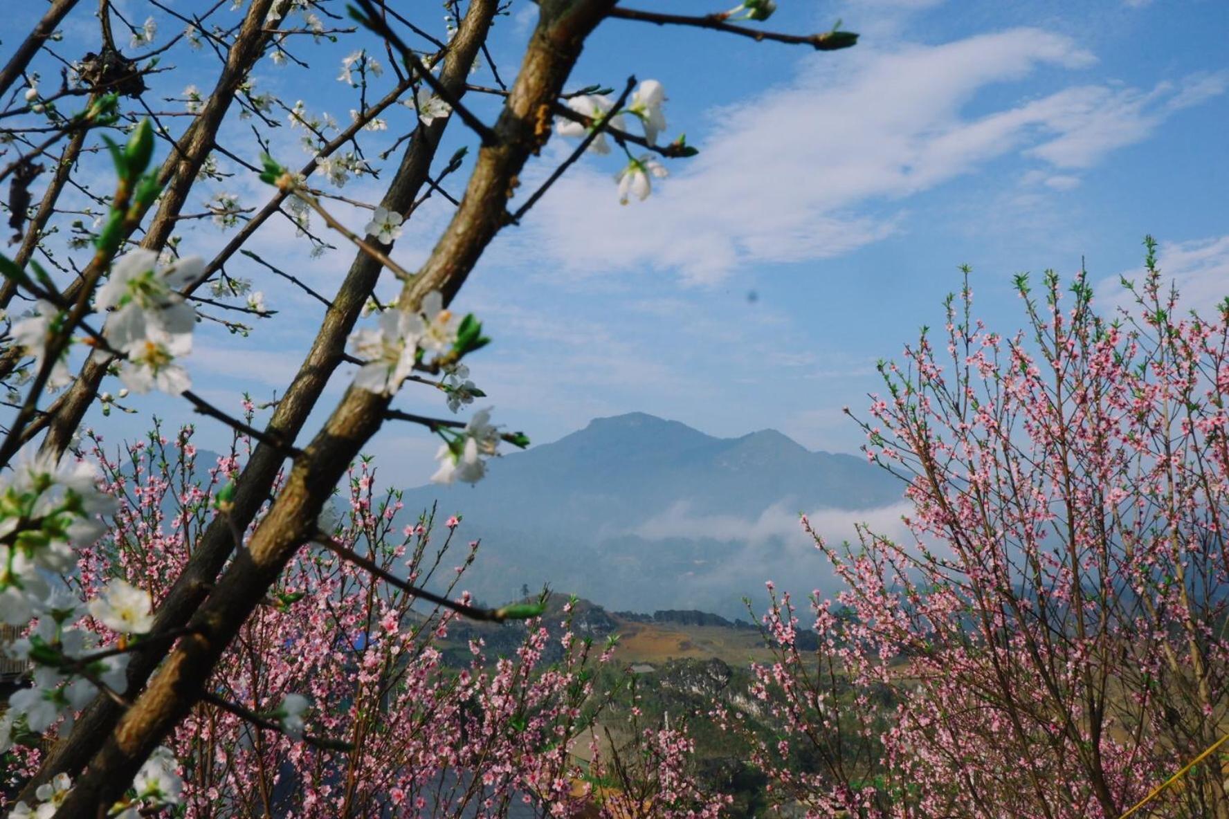Ta Phin Cottage Sapa Dış mekan fotoğraf