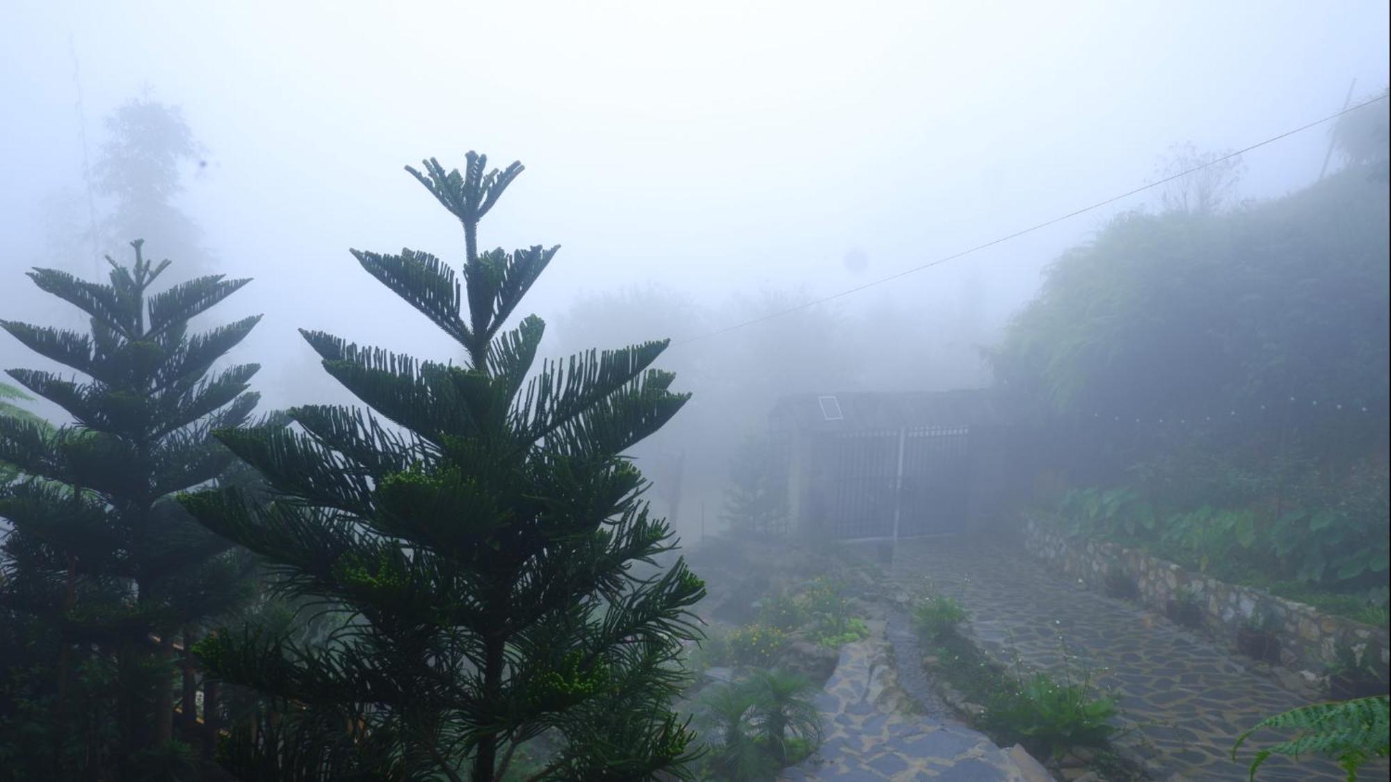 Ta Phin Cottage Sapa Dış mekan fotoğraf
