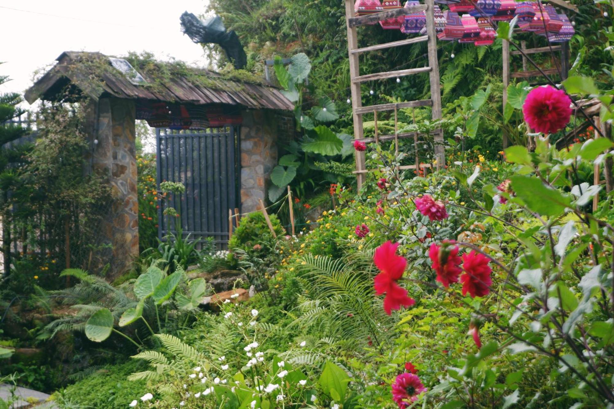 Ta Phin Cottage Sapa Dış mekan fotoğraf