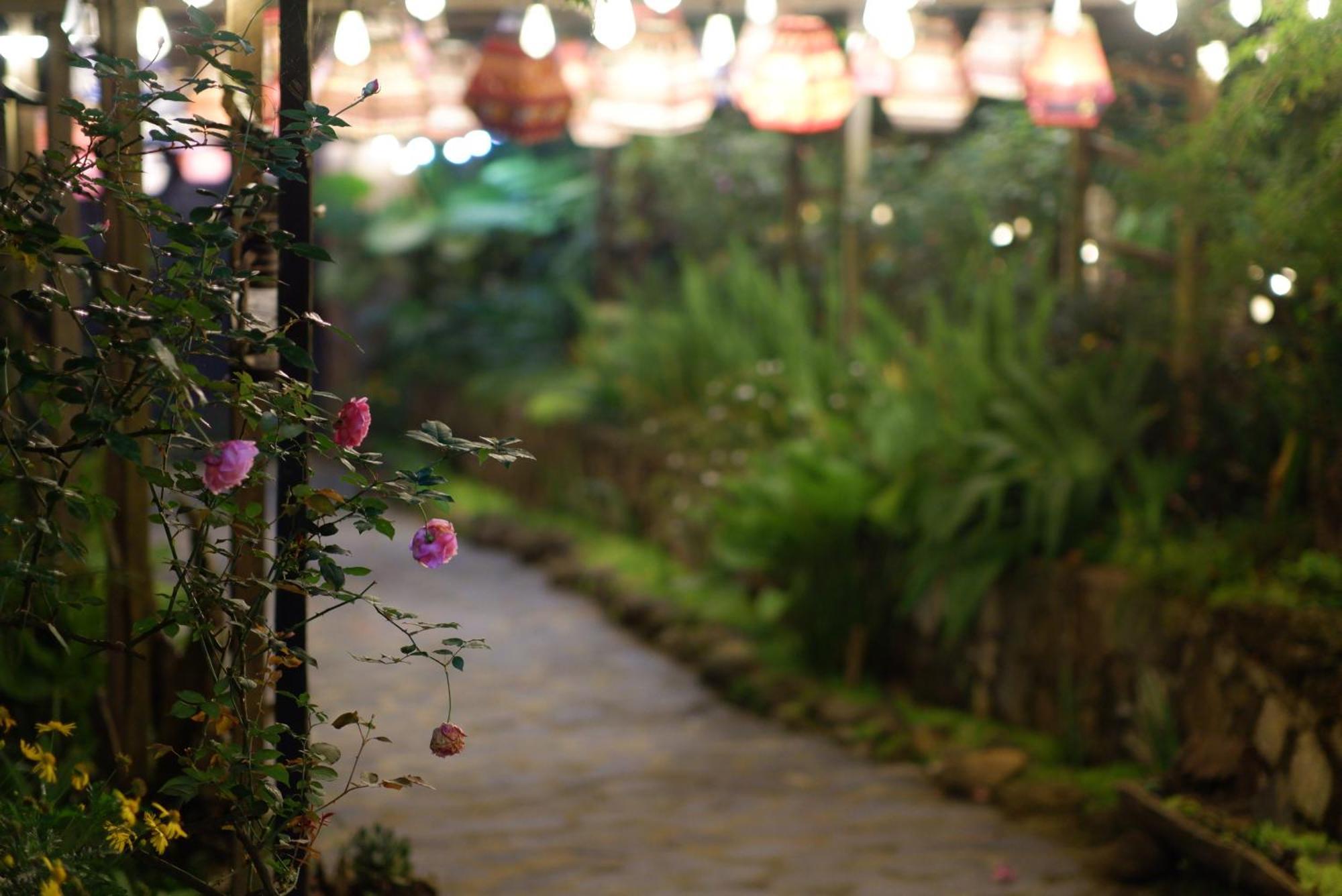 Ta Phin Cottage Sapa Dış mekan fotoğraf