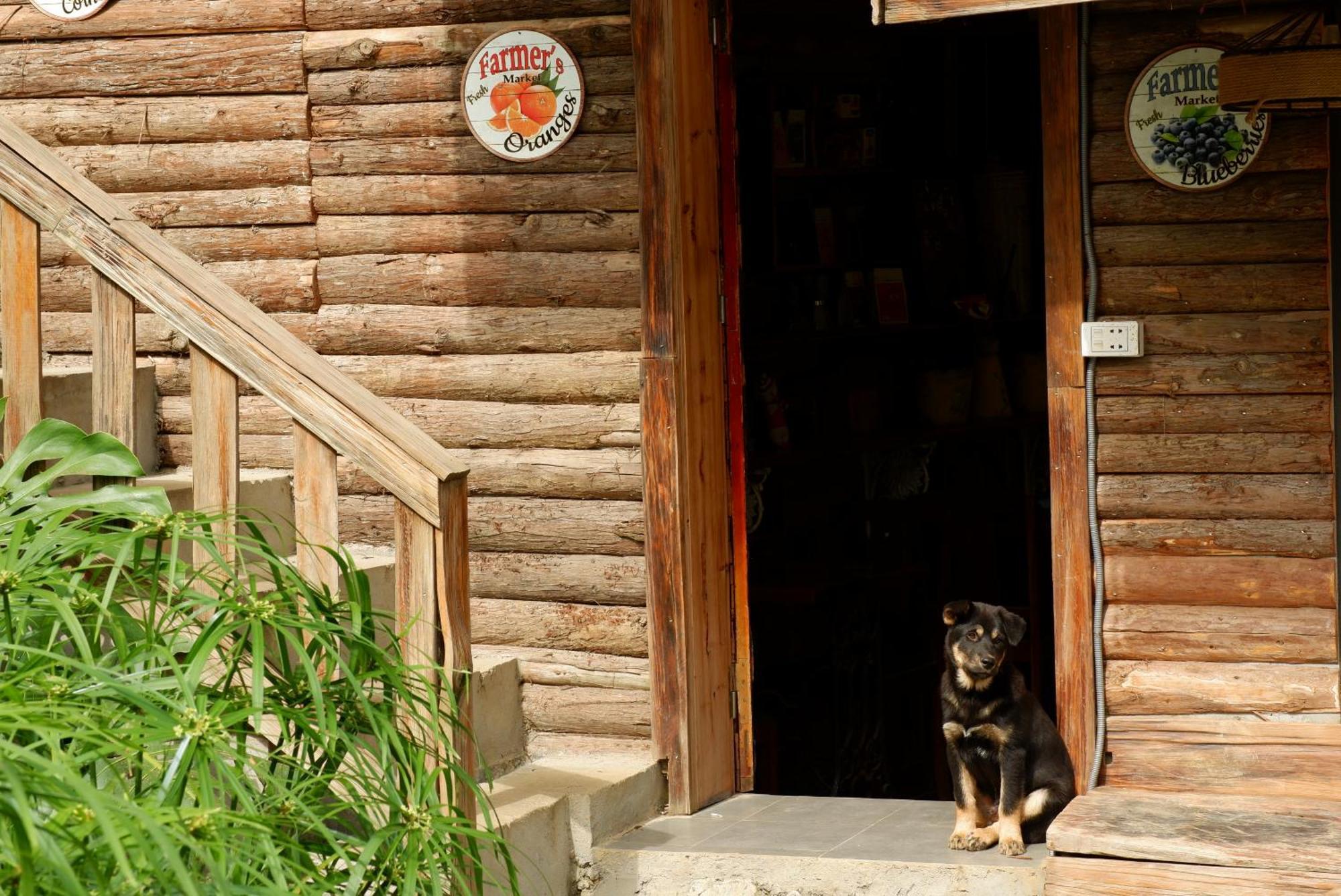 Ta Phin Cottage Sapa Dış mekan fotoğraf