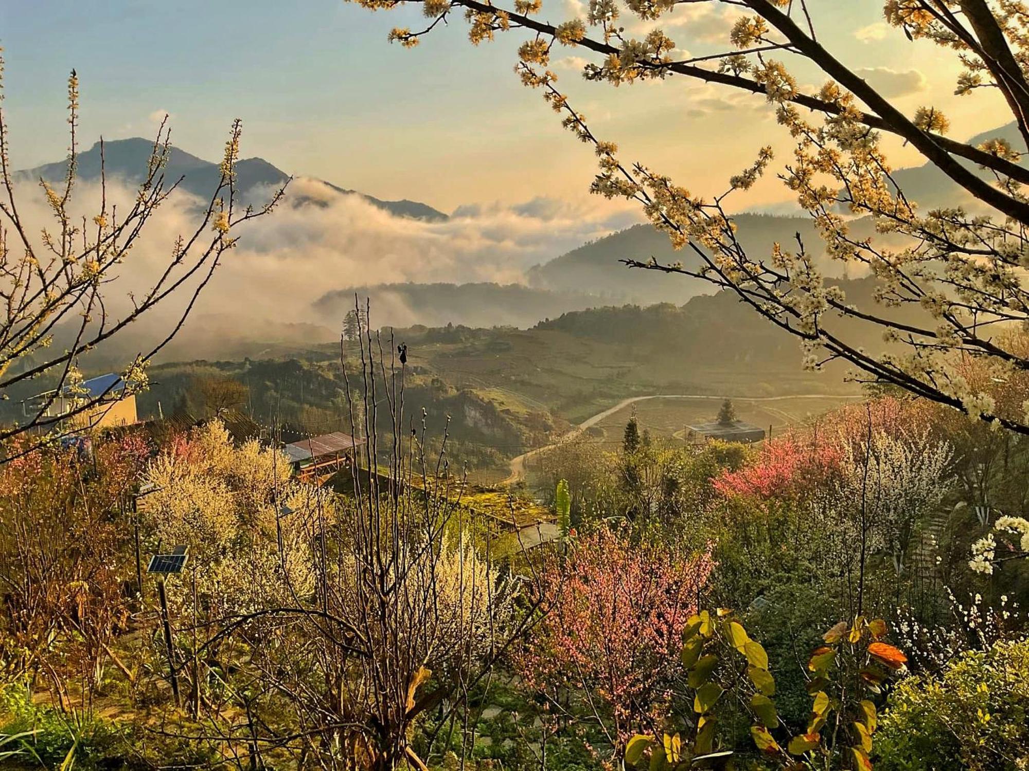 Ta Phin Cottage Sapa Dış mekan fotoğraf