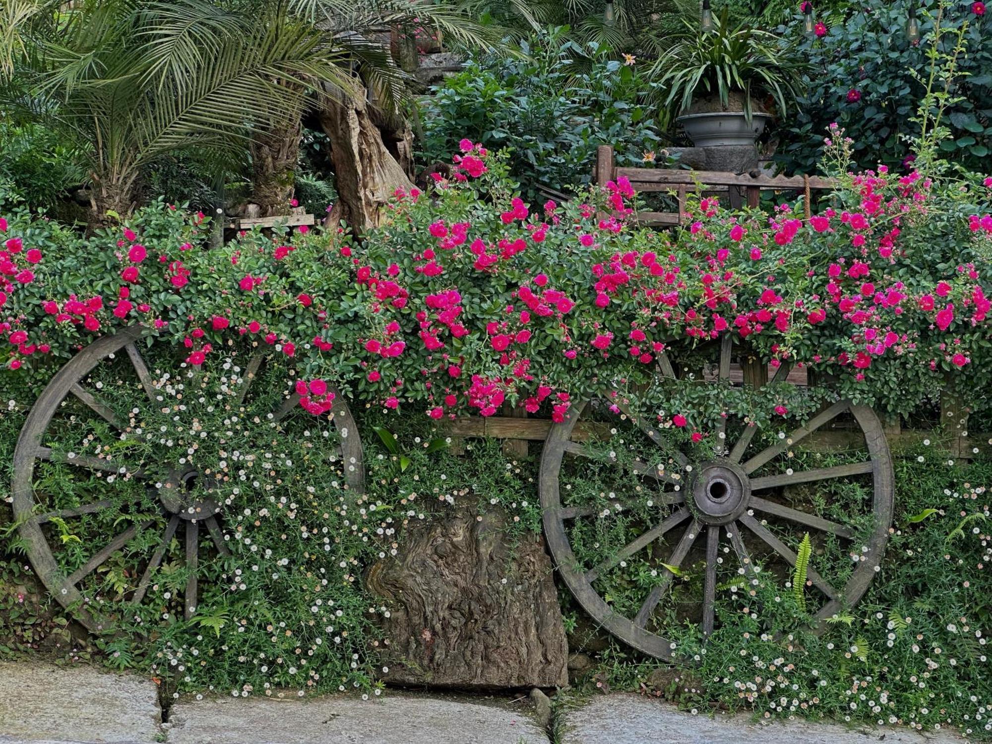 Ta Phin Cottage Sapa Dış mekan fotoğraf