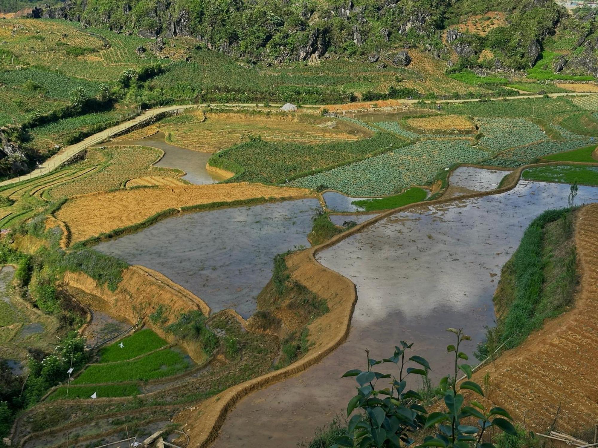 Ta Phin Cottage Sapa Dış mekan fotoğraf