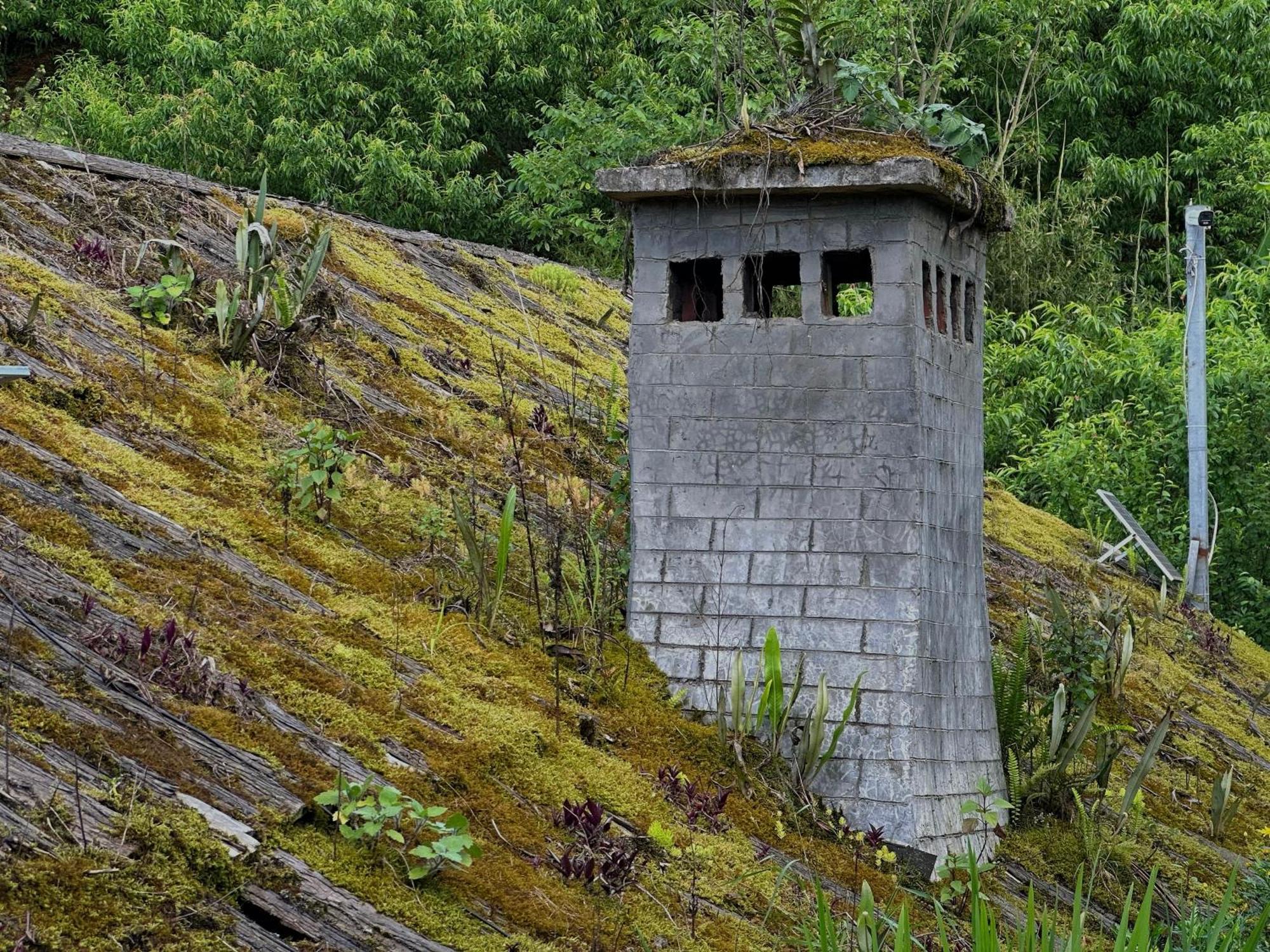 Ta Phin Cottage Sapa Dış mekan fotoğraf